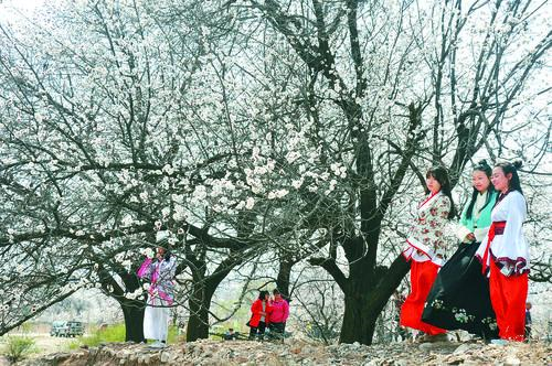 看球吧足球直播